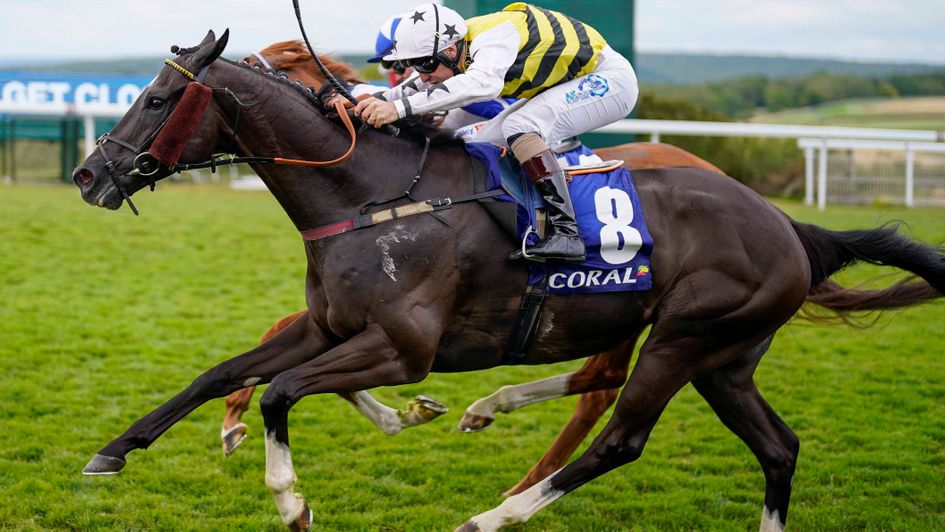 Commanche Falls wins a second Stewards' Cup