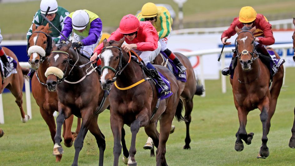 Layfayette ridden by Oisin Orr comes home to win the Hollywoodbets Alleged Stakes