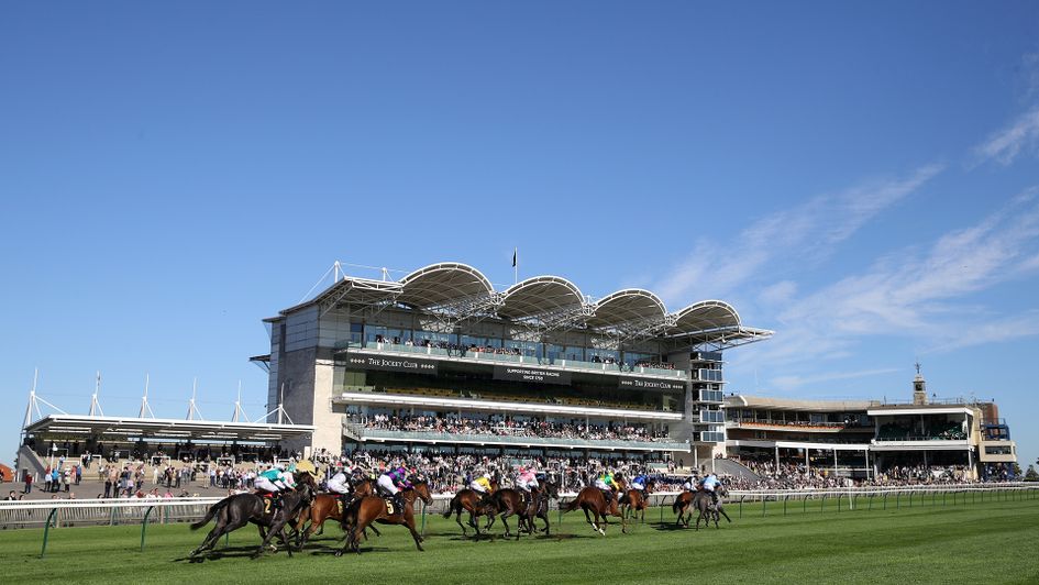 Image result for newmarket racecourse