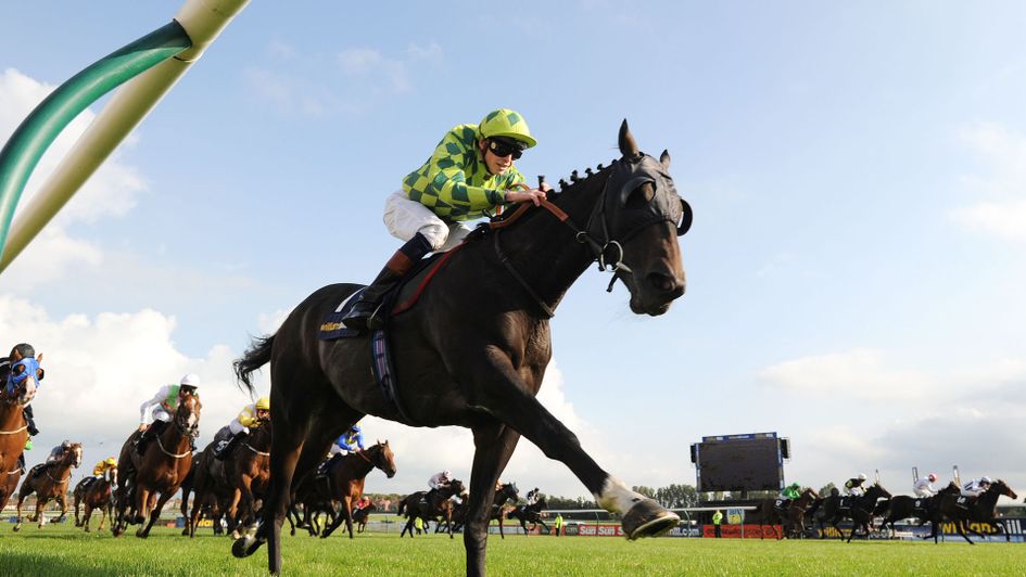 Louis The Pious was second to Highland Colori the year before he struck Gold in 2014