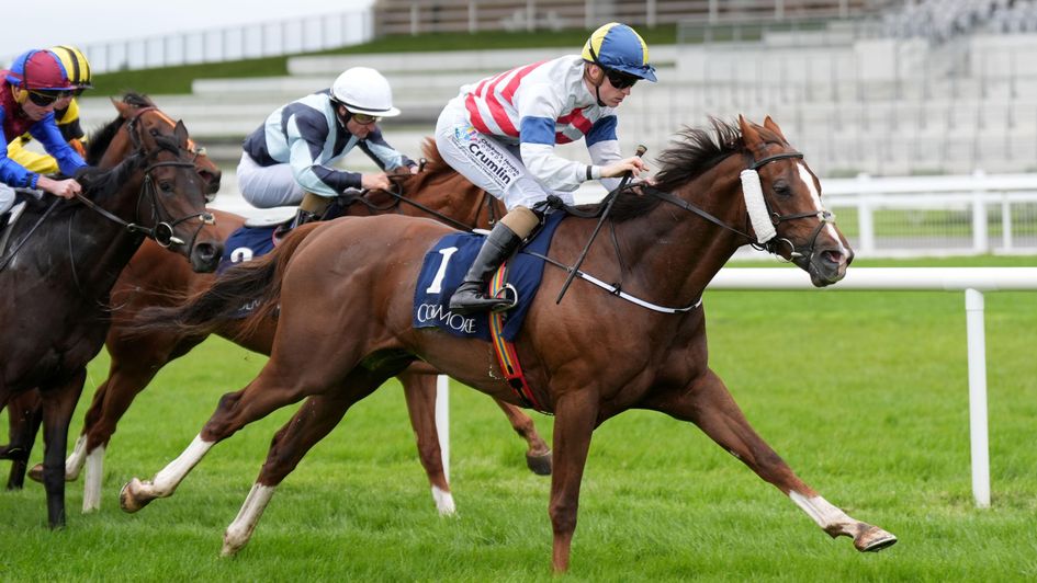 Bright Stripes wins at the Curragh