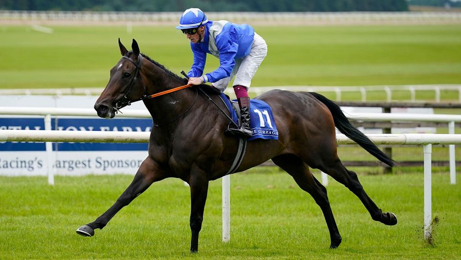 Vera's Secret ridden by jockey Nathan Crosse