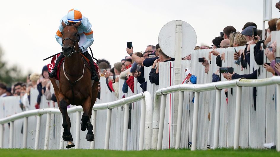 Ash Tree Meadow - Galway Plate winner