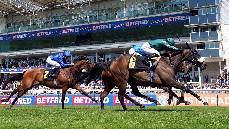 Zgharta wins the opener at Newmarket