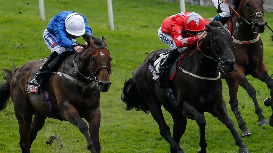 Toscanini (left): Can win Ayr Gold Cup