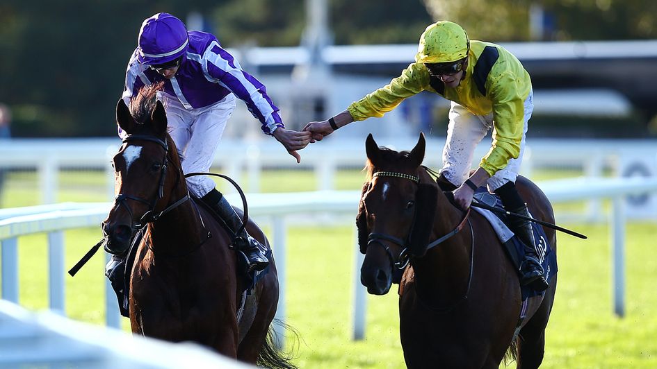 Addeybb (right) and Magical after last year's Champion Stakes