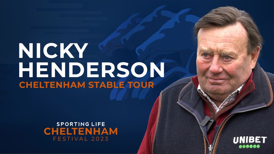 nicky henderson stable tour tickets