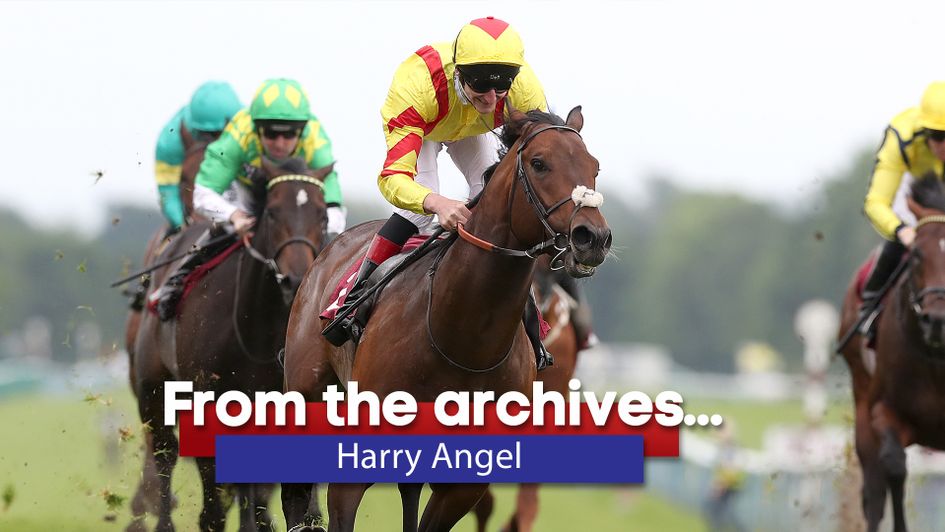 Harry Angel: Watch some of his career highlights again