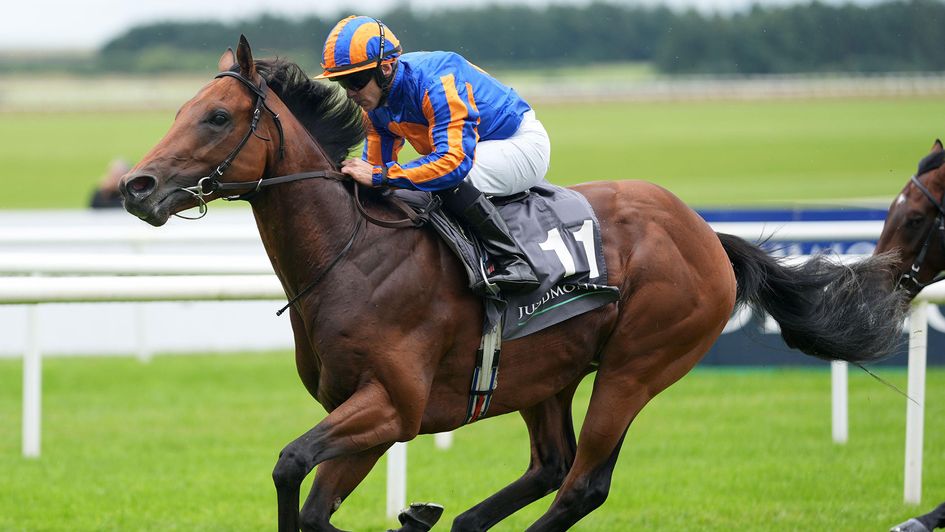 The Lion In Winter ridden by jockey Wayne Lordan