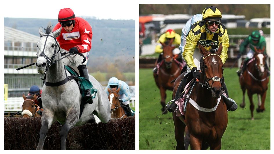 Arkle hopefuls L'eau Du Sud and Sir Gino