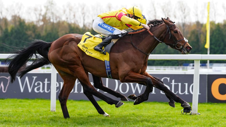 Divina Grace wins at Newbury