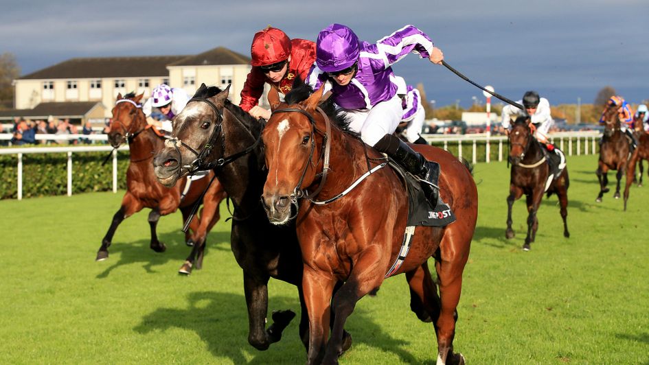 Saxon Warrior ticks a lot of the right boxes ahead of the Guineas