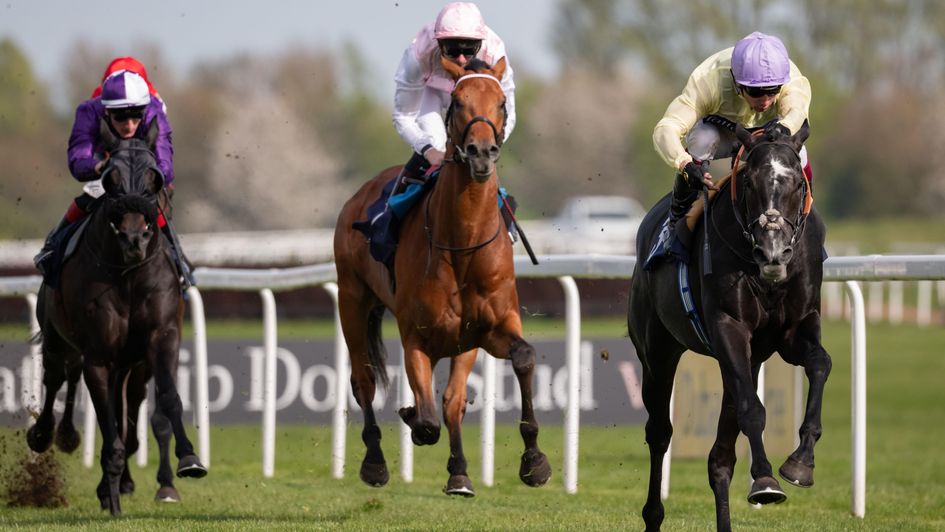 Furthur is another winner for the Balding-Murphy team