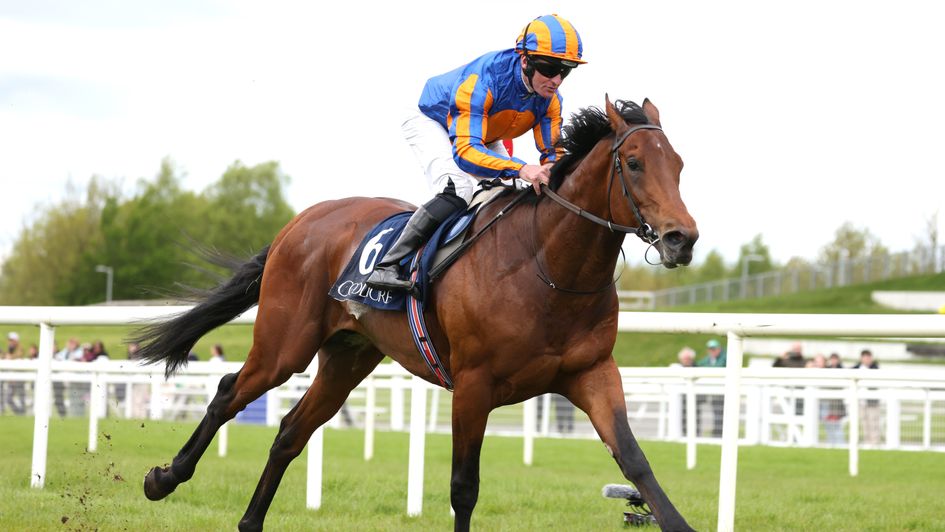 Paddington impresses at the Curragh