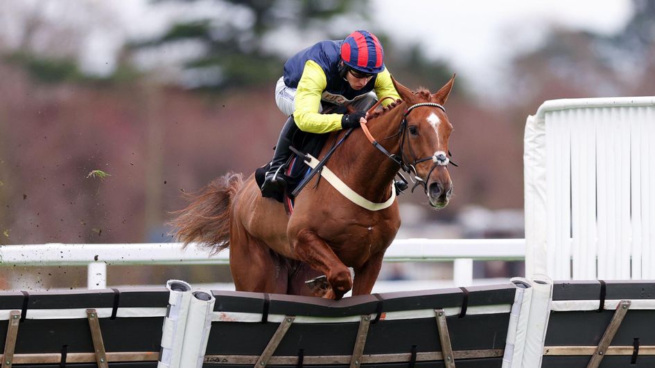 Pic Roc leads over the last before winning at Ascot