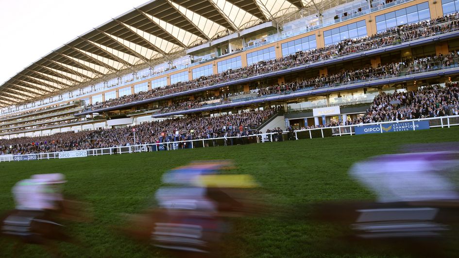 Ascot - set to confirm track switch