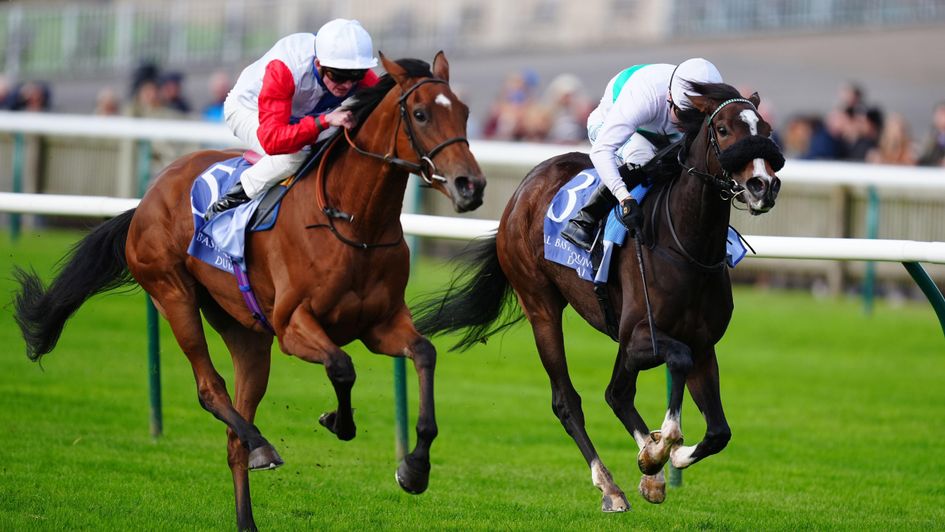 Fair Point (left) ran well for Ralph Beckett