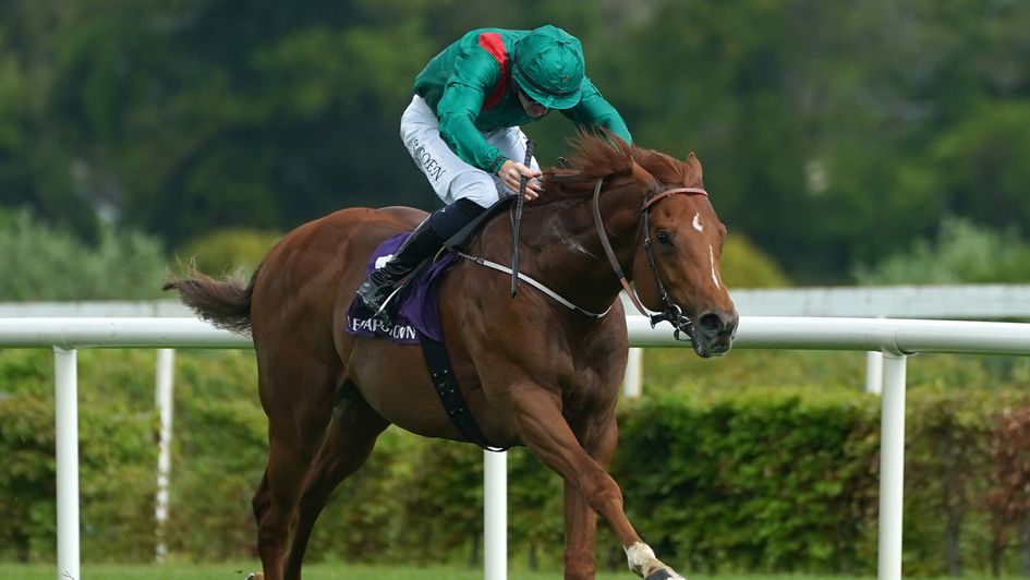 Sharlouk wins the opener at Leopardstown