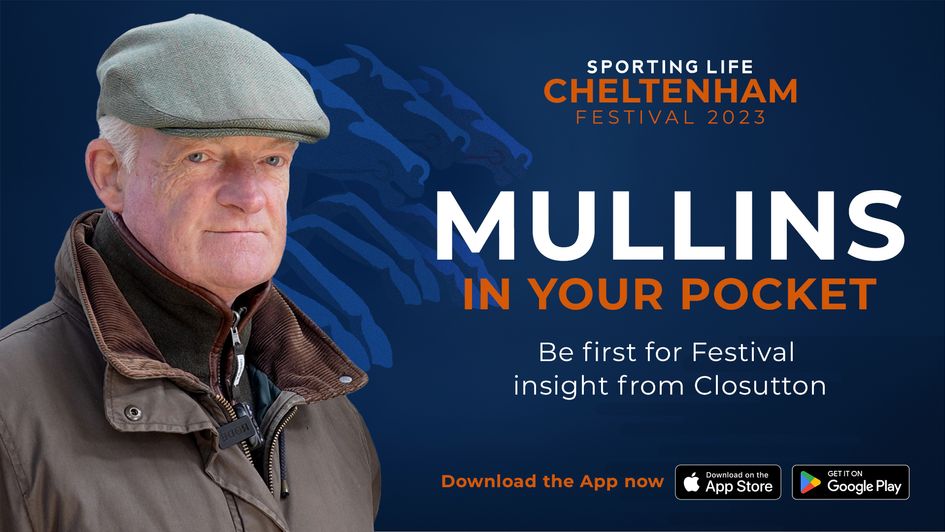 Cheltenham Festival promo