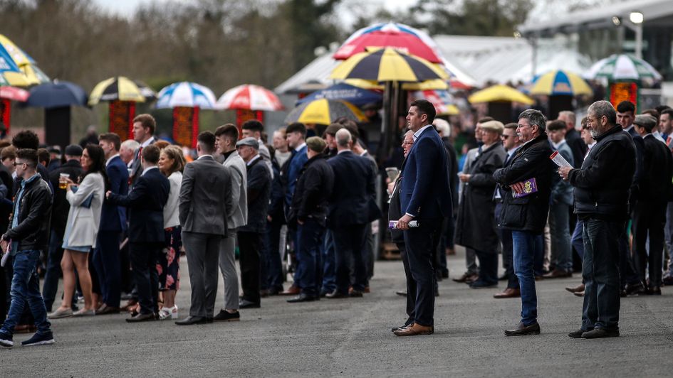 Punters weigh up their options at the races