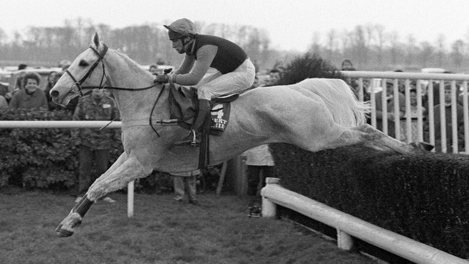 The legendary Desert Orchid in full flight