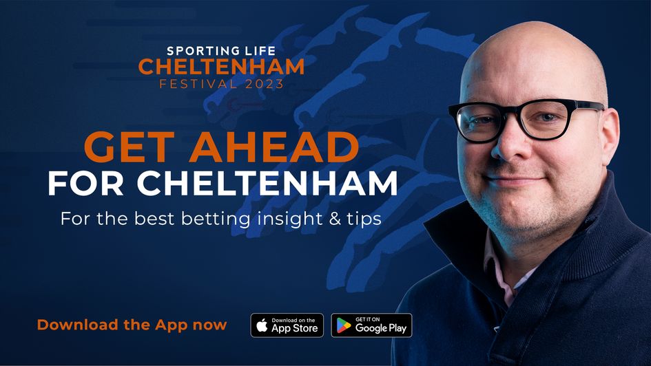 Cheltenham Festival promo