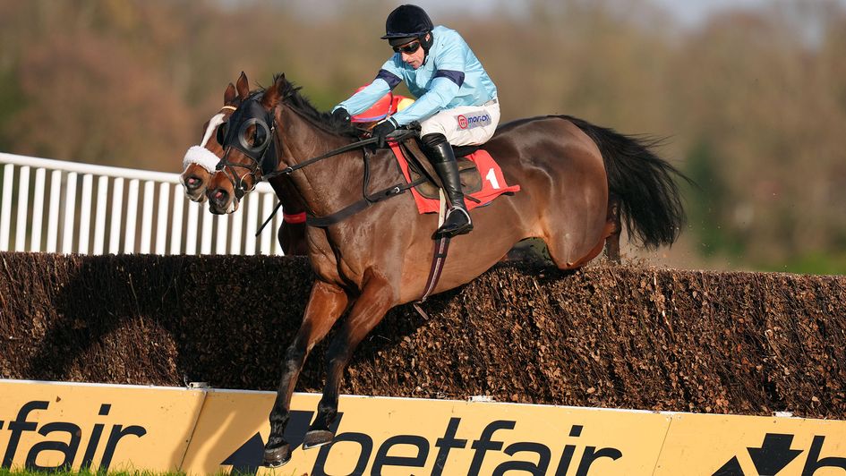 Mount Tempest ridden by Harry Skelton