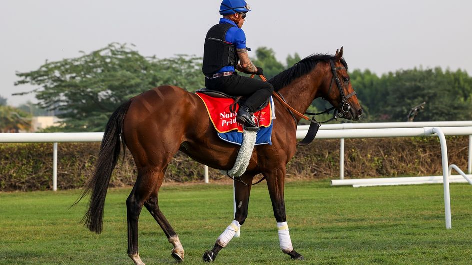 Nations Pride in Bahrain (picture courtesy of Bahrain Turf Club)