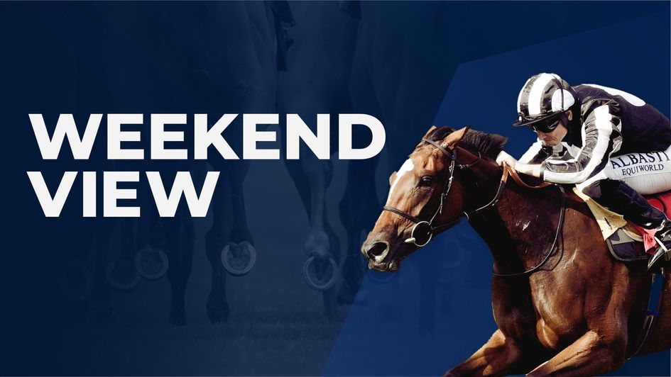 Weekend best bets