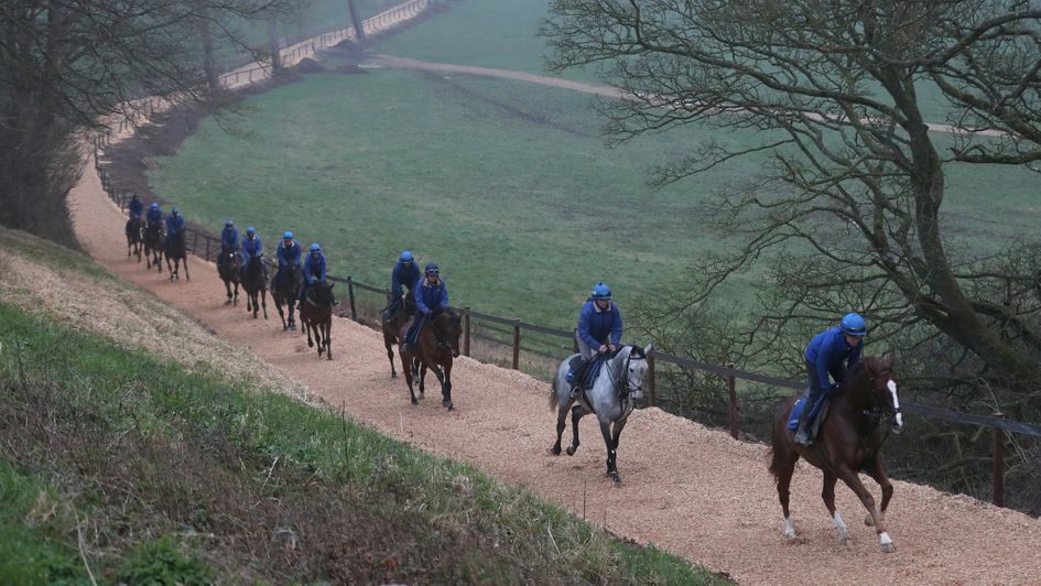 Native River leads the way on the Tizzard gallops