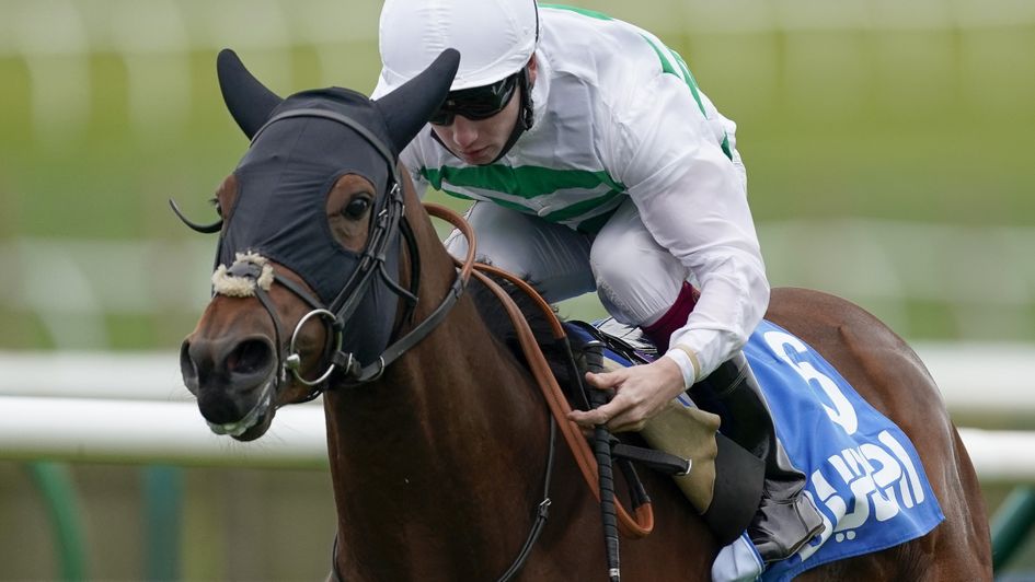 Nebulosa can rise through the grades