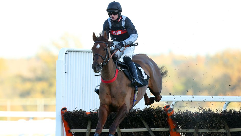 A Hare Breath: Heading for the County Hurdle