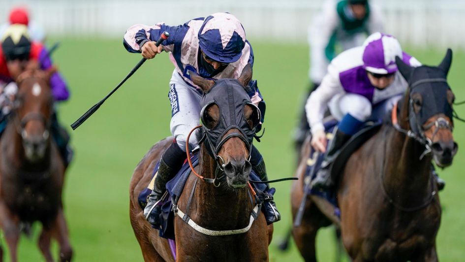 Couer De Lion wins the Ascot Stakes