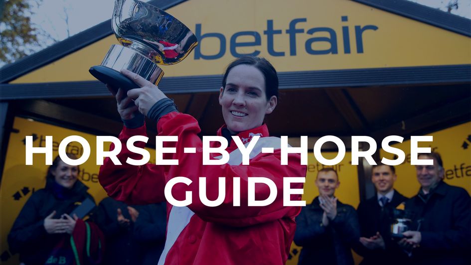 Betfair Chase guide