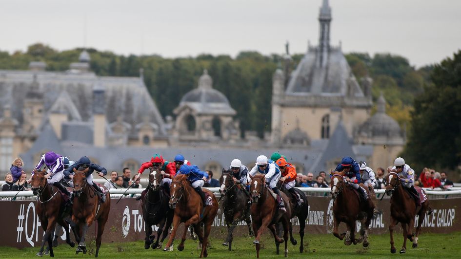 Rhododendron (dark blue silks) was a gutsy winner at gorgeous Chantilly