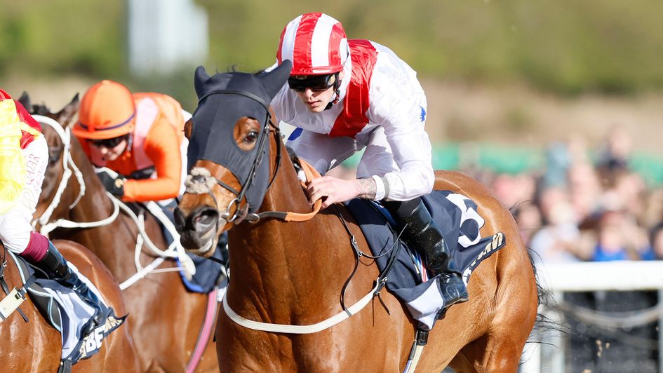 Cloud Cover cruises home at Newcastlw