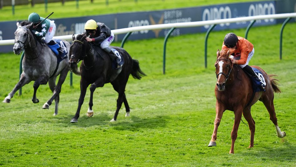 Bague D'or (right) beats Vaguely Royal and Intinso