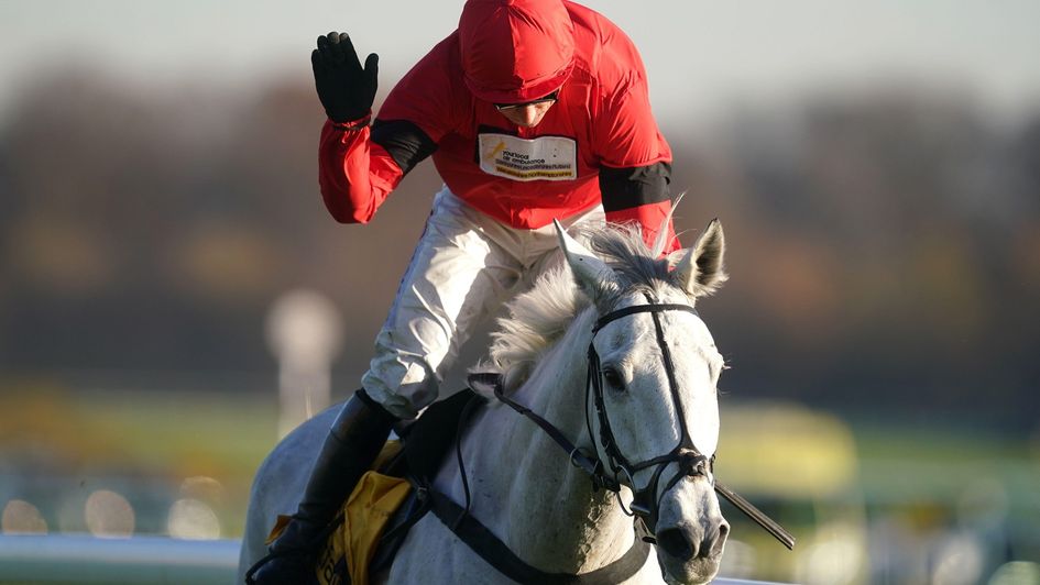 Grey Dawning: The highest-rated novice chaser in Britain