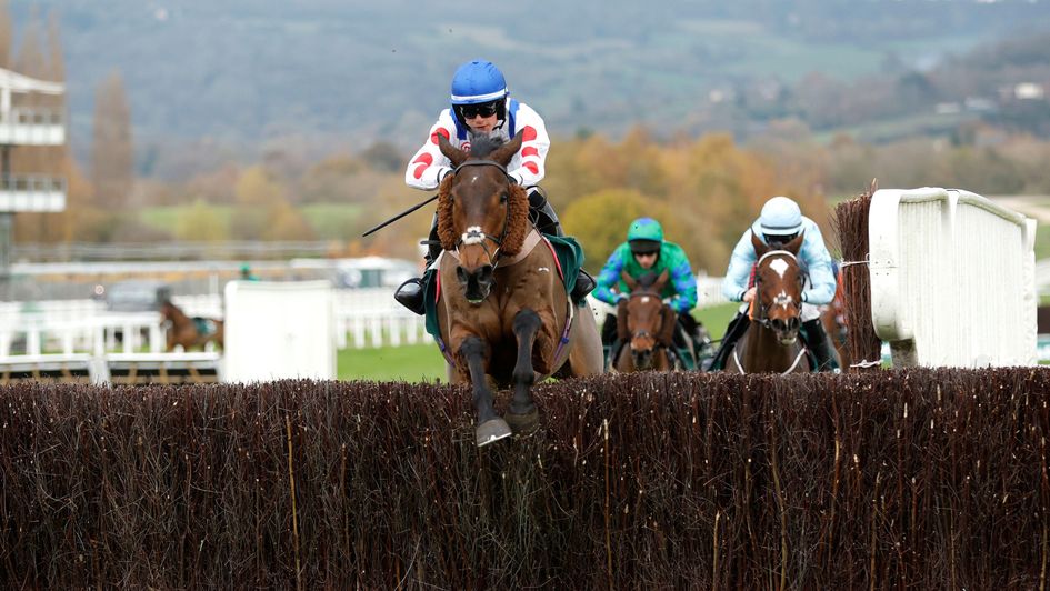 Il Ridoto hacks up at Cheltenham