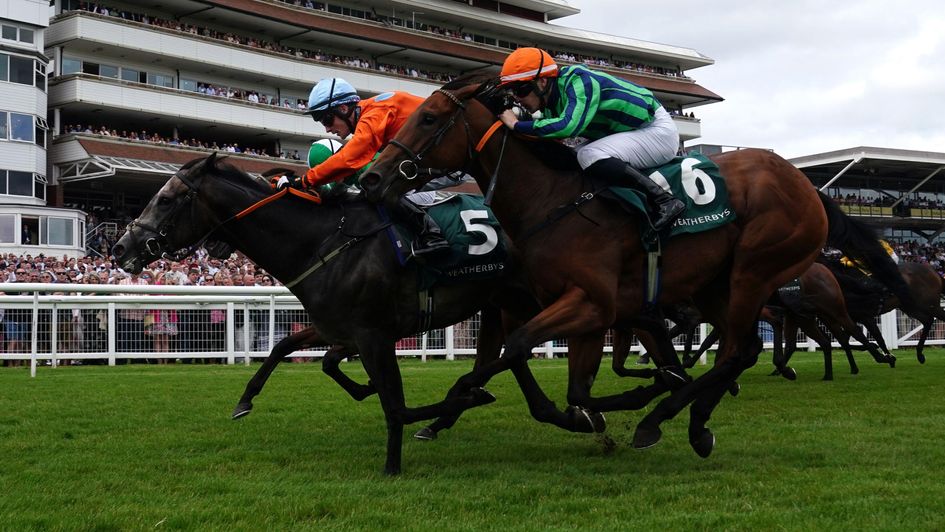 Caburn swoops to win the Weatherbys Super Sprint