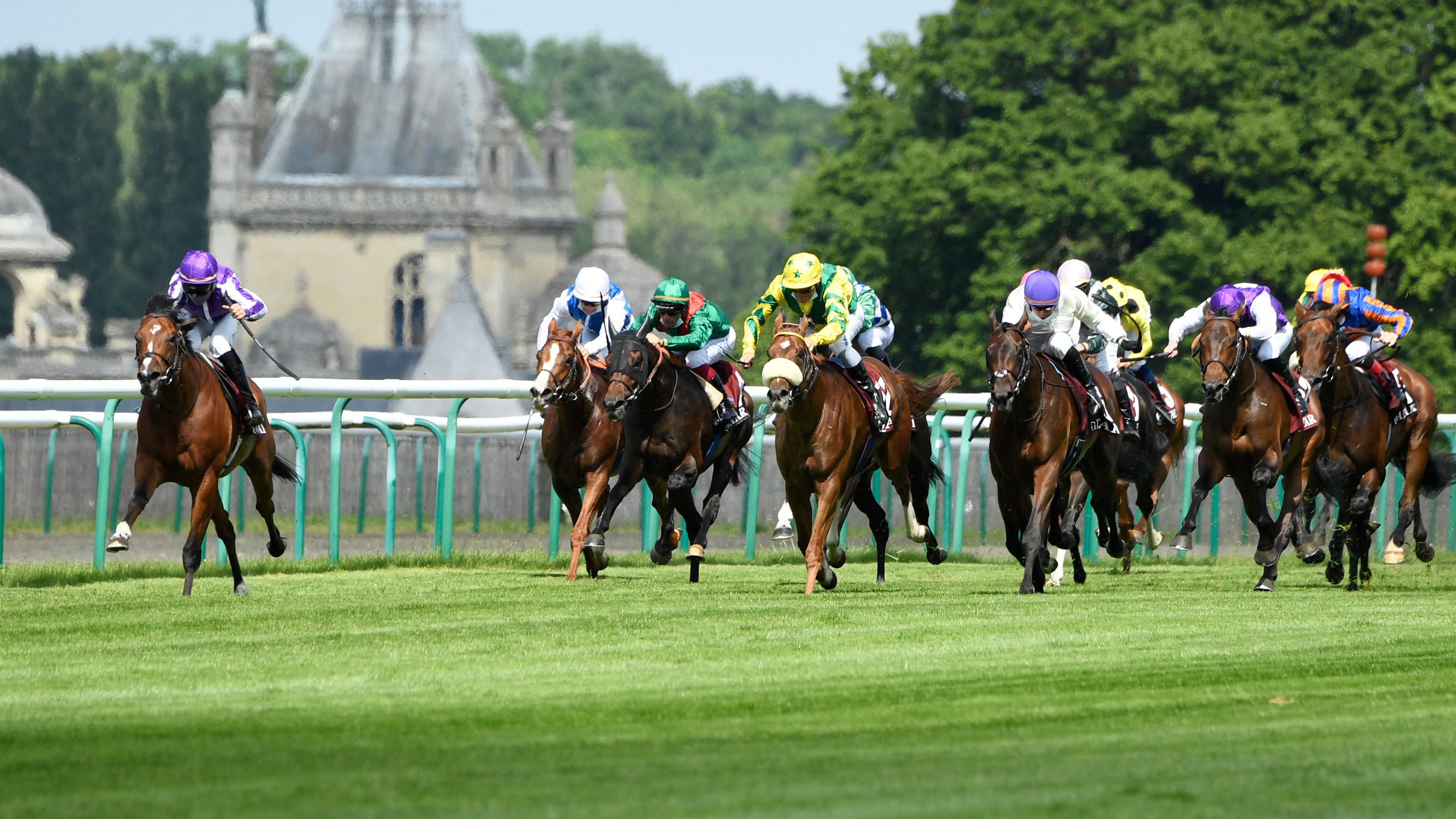 Special Reserve Making Season Debut in De Francis Dash - Maryland Jockey  Club