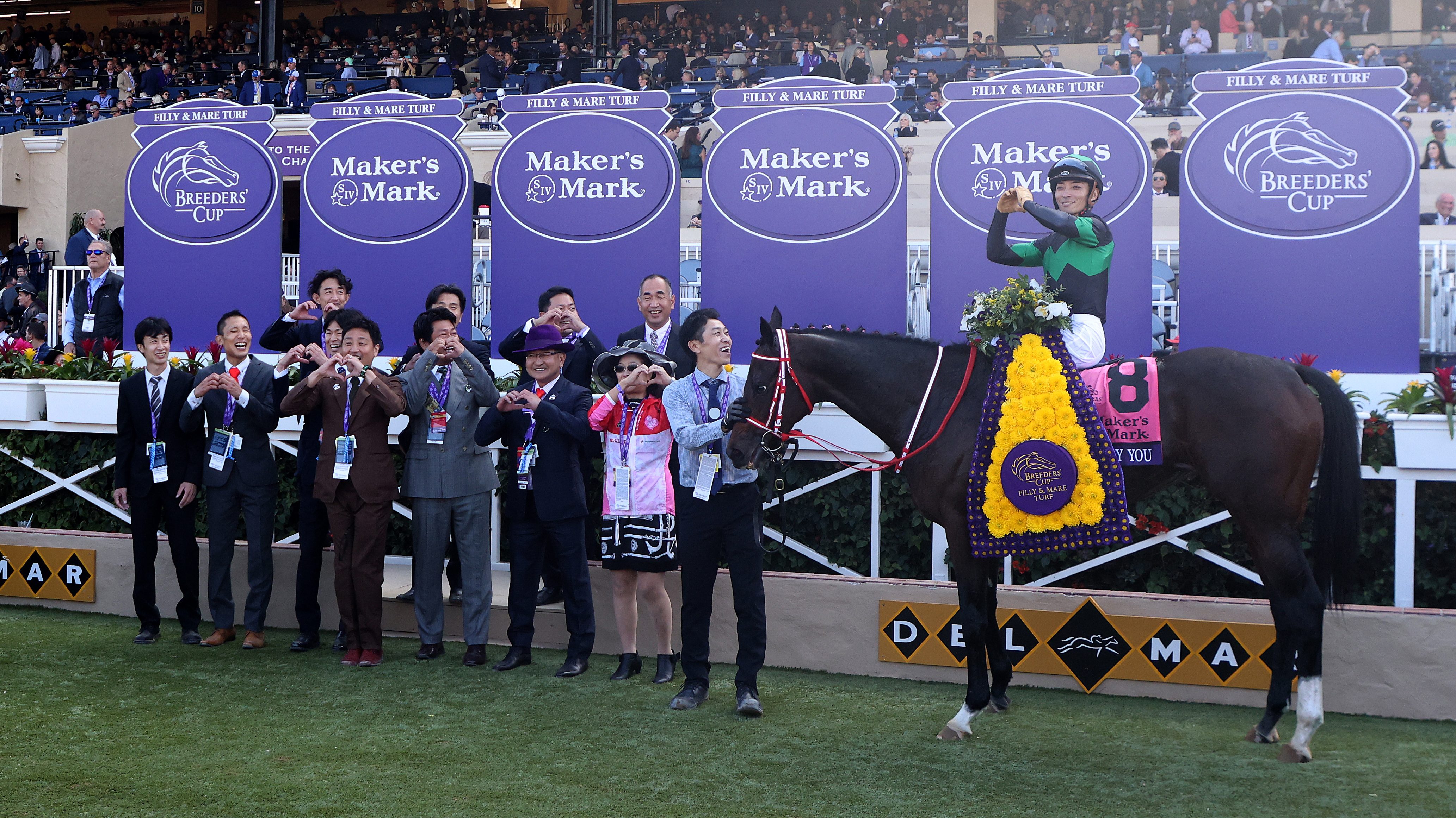 Breeders' Cup on X: When you think of #BreedersCup at