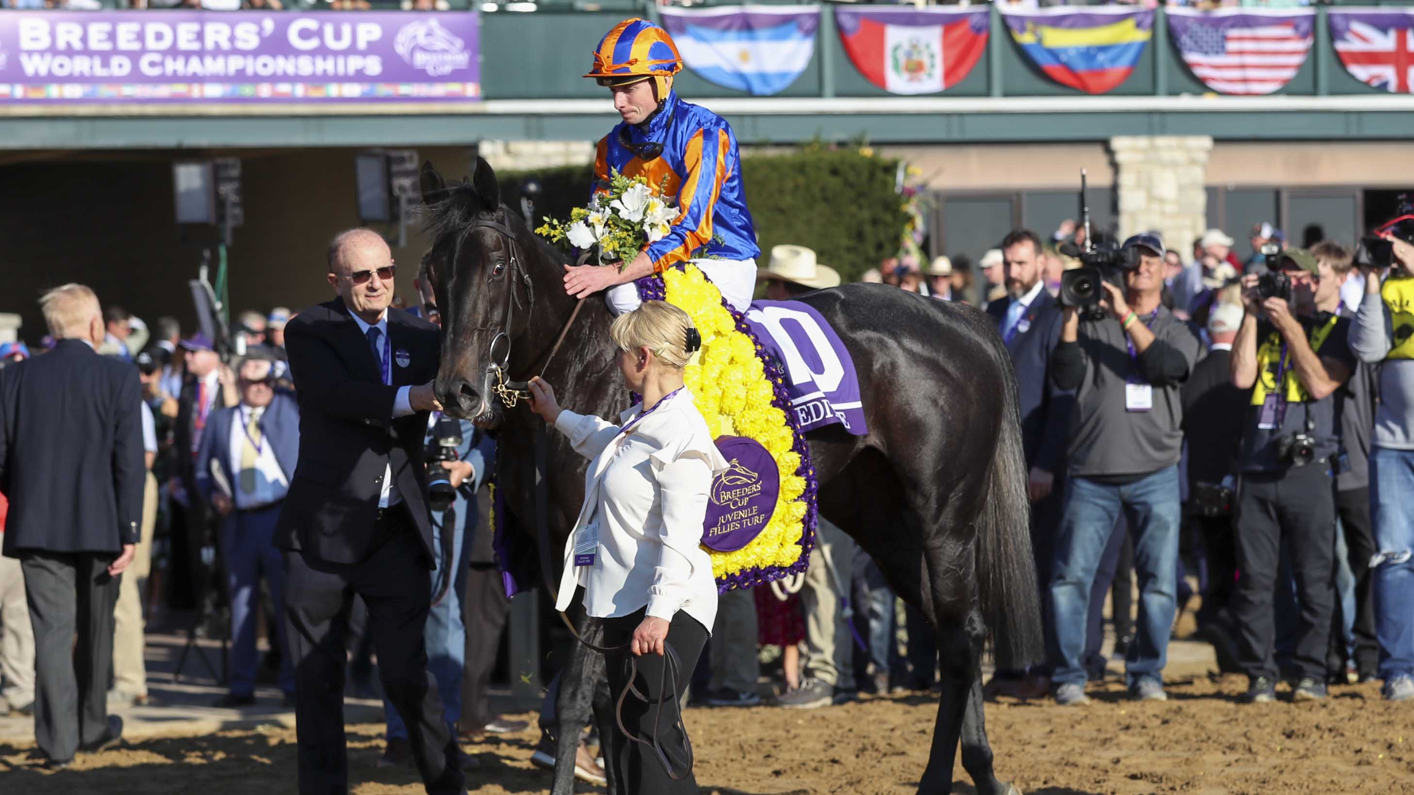 Breeders' Cup on X: When you think of #BreedersCup at