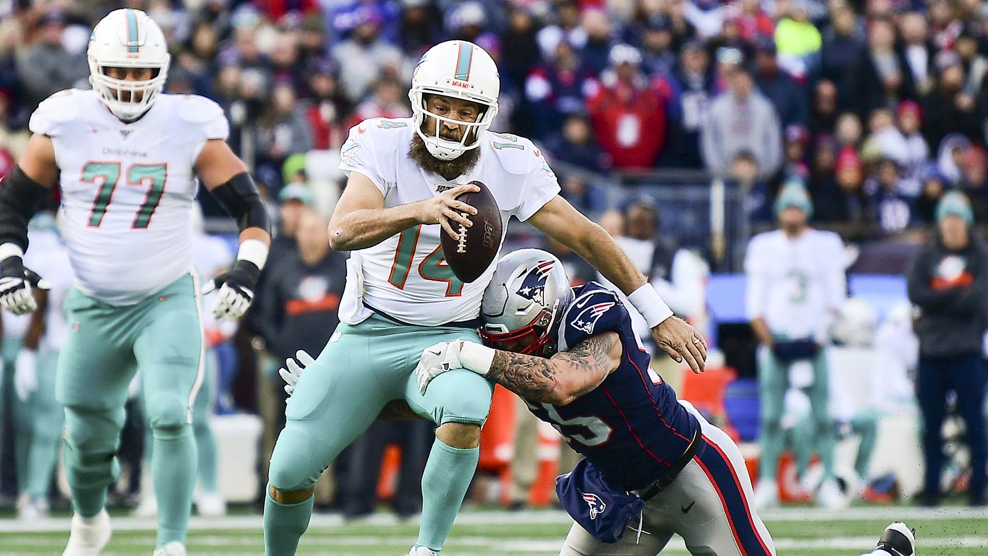 Dolphins vs. Patriots Week 17 Highlights