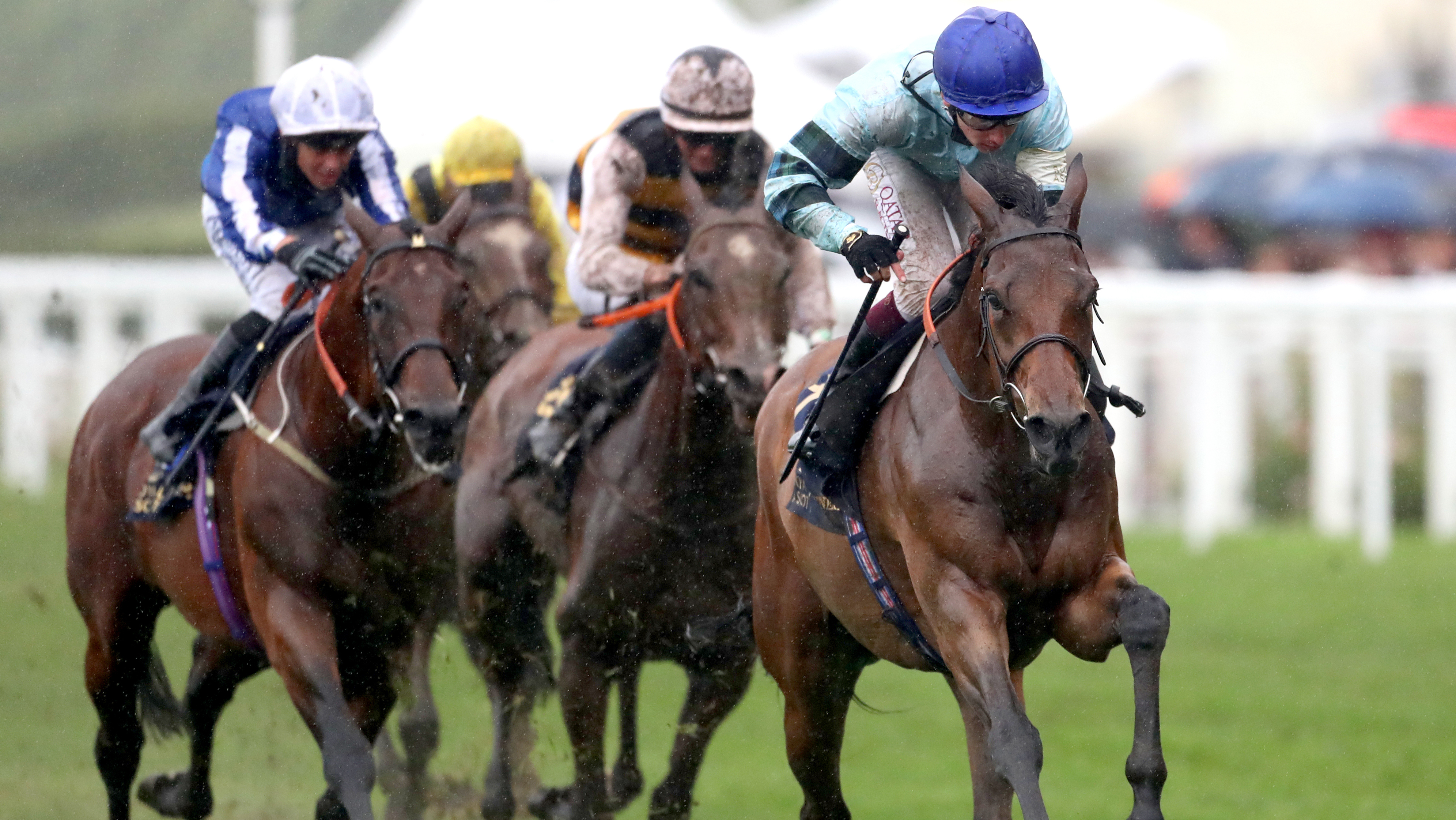 Matt Chapman horse racing tips: My HUGE pick for the Nunthorpe is