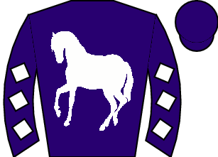 Horse silk