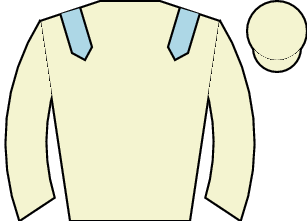 Horse silk