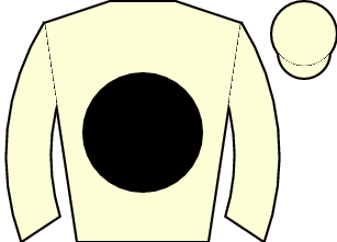 Horse silk