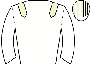 Horse silk