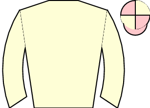 Horse silk